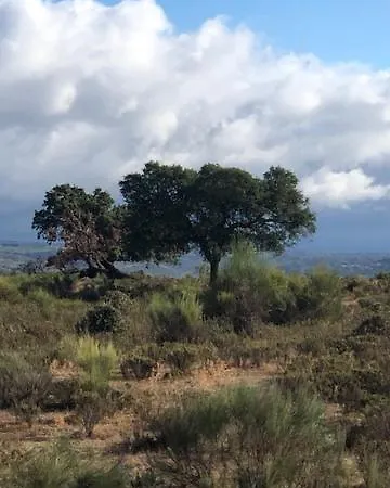 3 Marias - Nº22 - T4 Kır Evi Lousa (Castelo Branco)