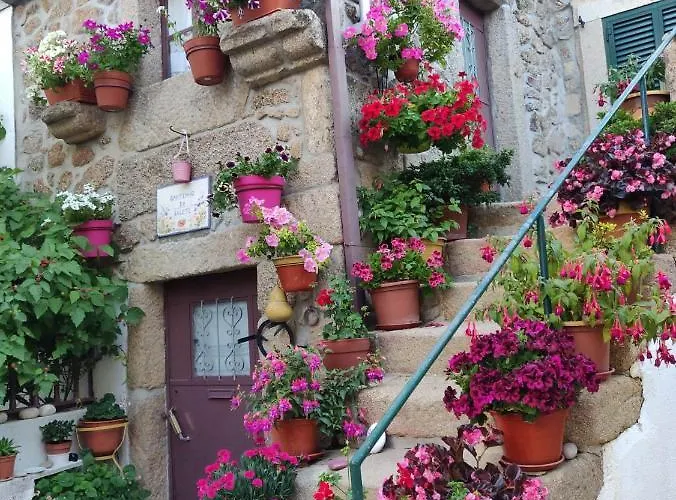 3 Marias - Nº22 - T4 منزل ريفي